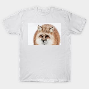 Red fox in the snow T-Shirt